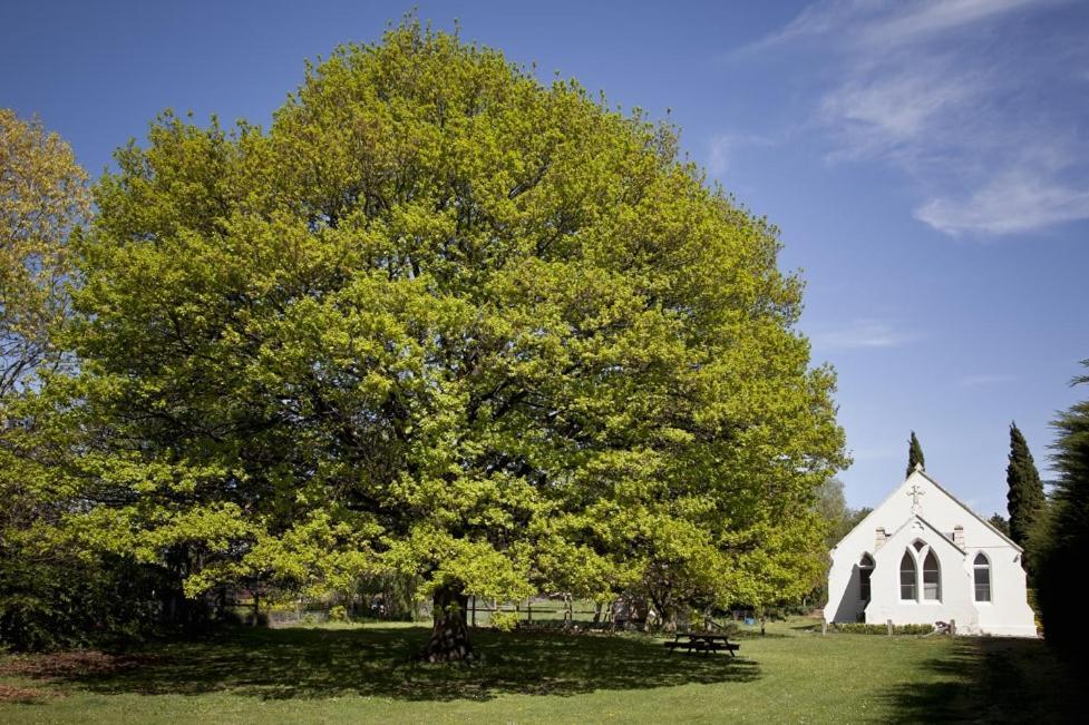 The Holy Oaks Villa Duntroon Exteriör bild
